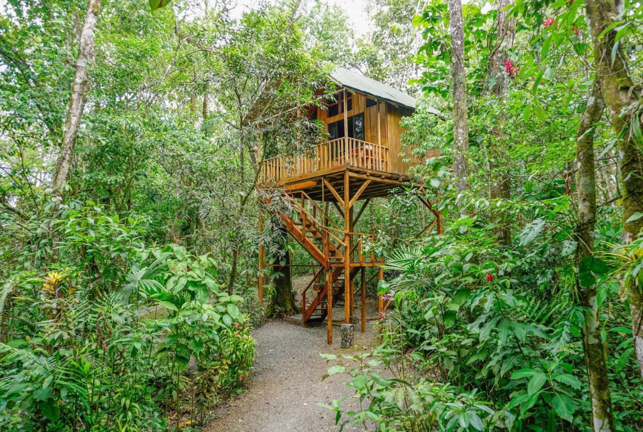 Tree Houses Hotel Costa Rica Florencia Exterior photo
