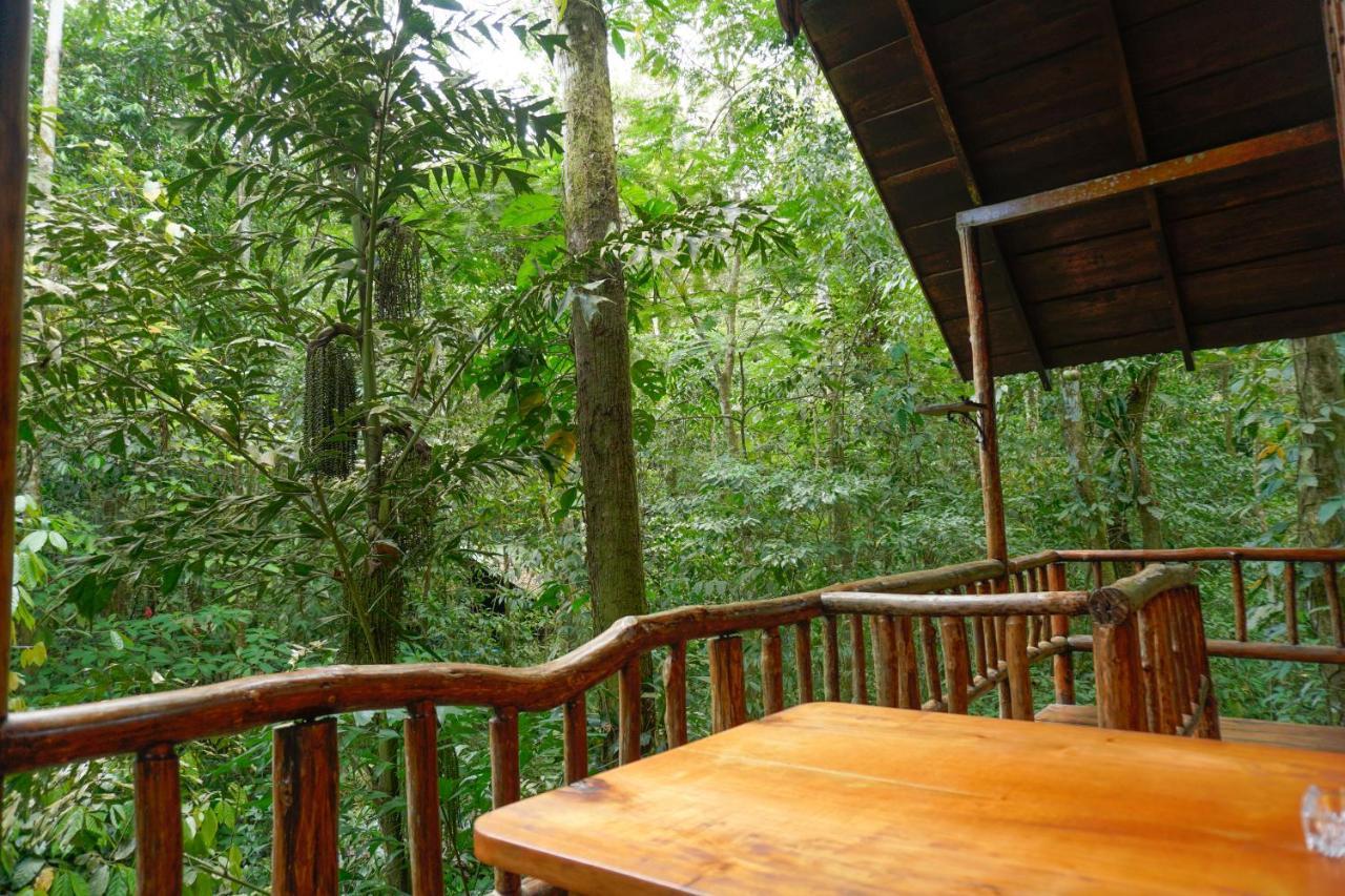 Tree Houses Hotel Costa Rica Florencia Exterior photo