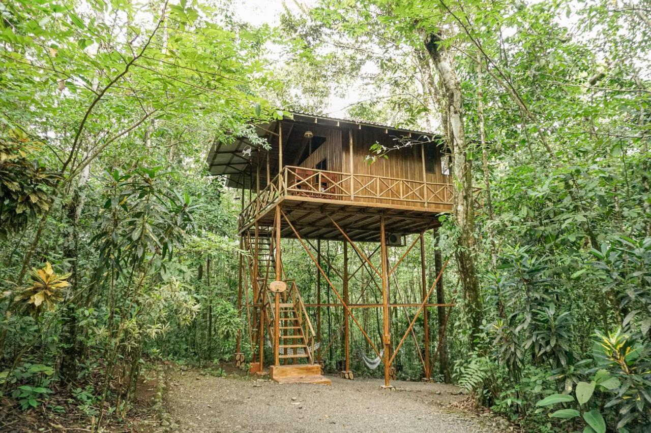 Tree Houses Hotel Costa Rica Florencia Exterior photo