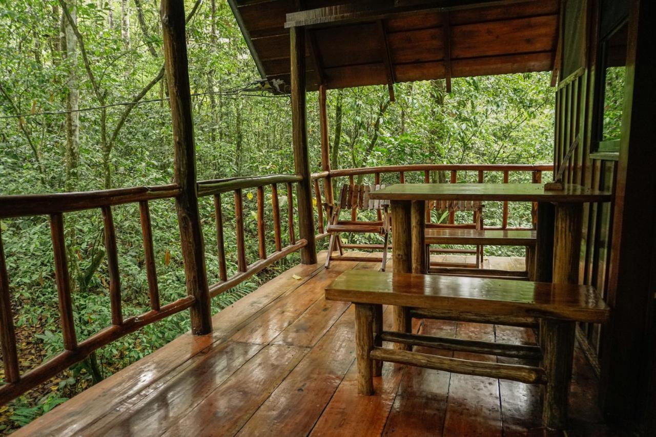 Tree Houses Hotel Costa Rica Florencia Exterior photo