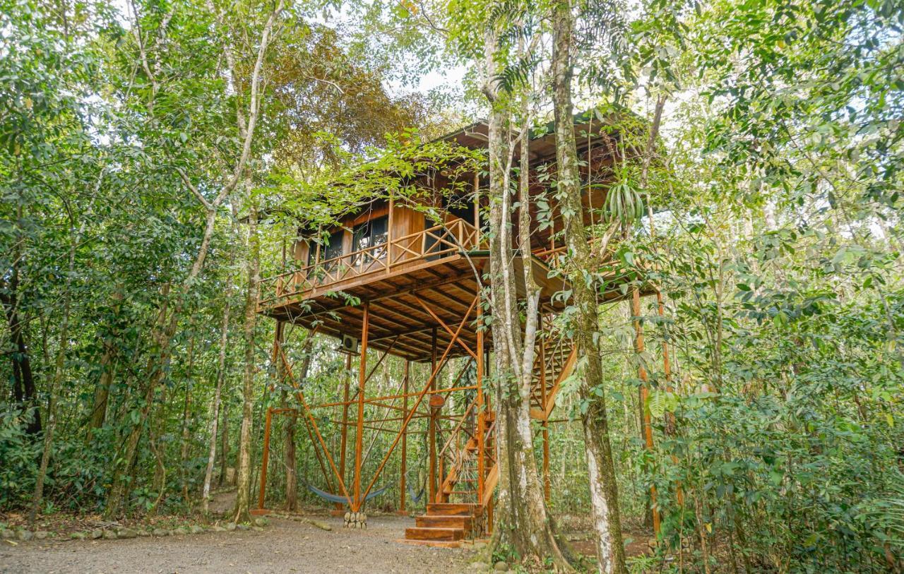Tree Houses Hotel Costa Rica Florencia Exterior photo