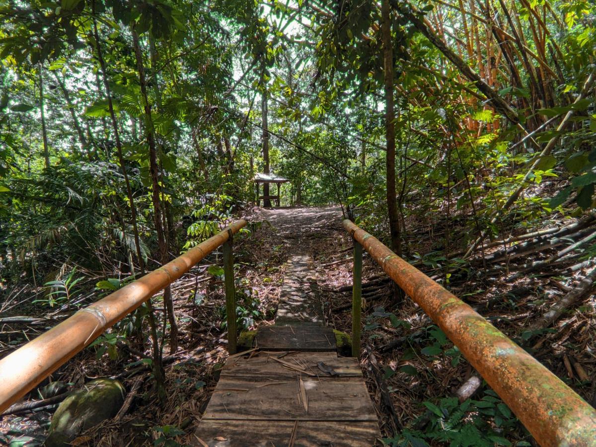 Tree Houses Hotel Costa Rica Florencia Exterior photo