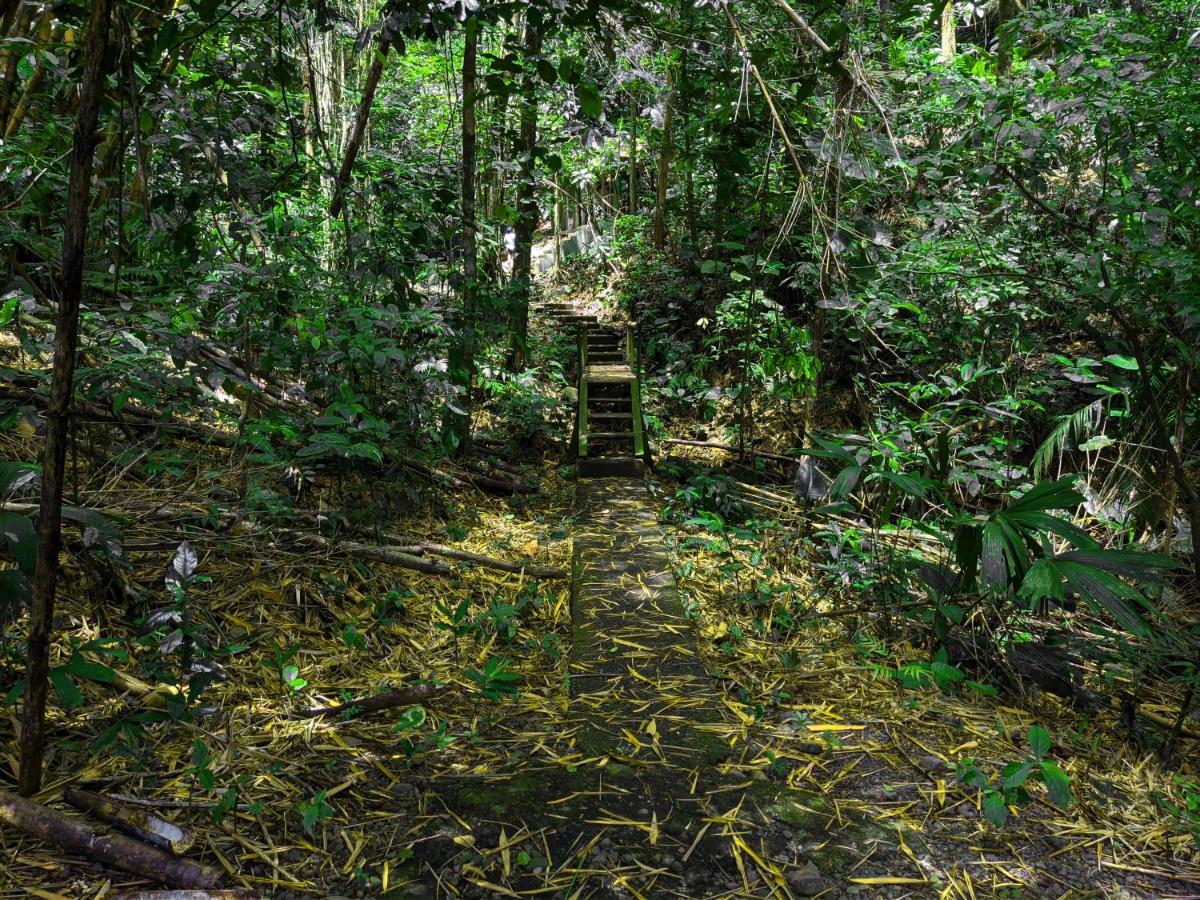Tree Houses Hotel Costa Rica Florencia Exterior photo